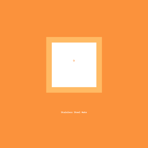 Stainless Steel Water Bottle